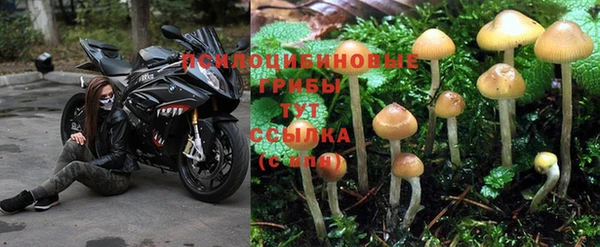 скорость Алексеевка