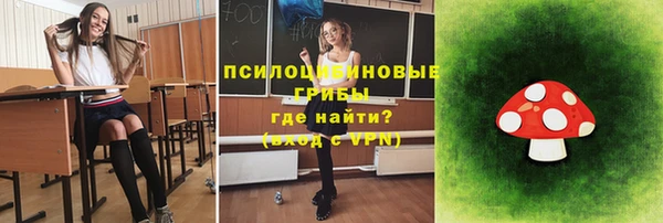 героин Алексин