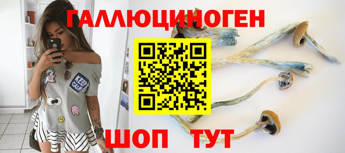 Галлюциногенные грибы GOLDEN TEACHER Саянск